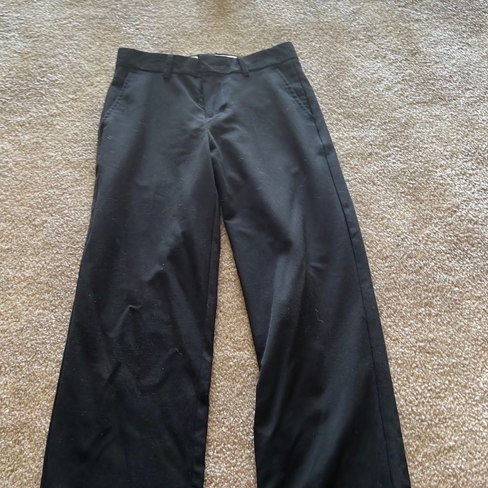 Dressy pants